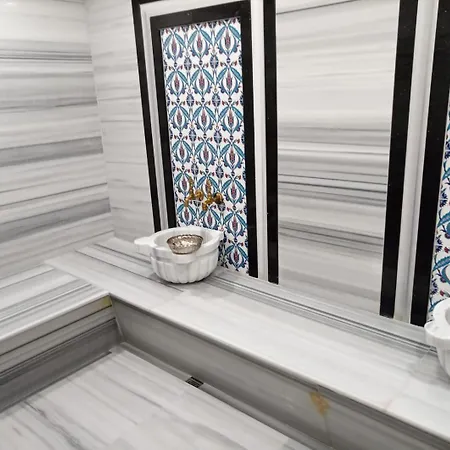 Hotel Al-si Ametis 5*