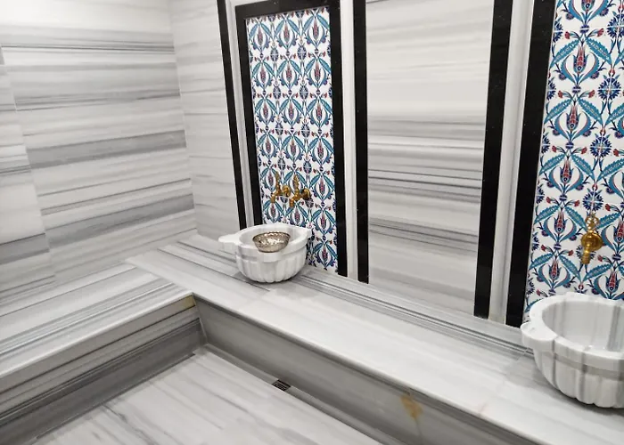 Hotel Al-si Ametis 5*