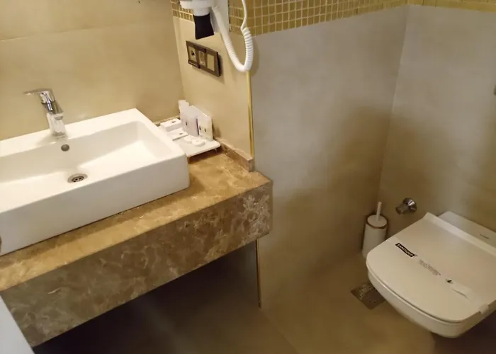 Hotel Al-si Ametis 5*