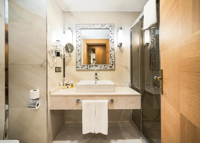 Hotel Al-si Ametis 5*