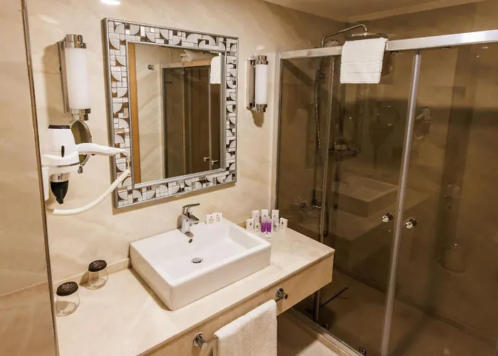 Al-si Ametis Hotel 5*