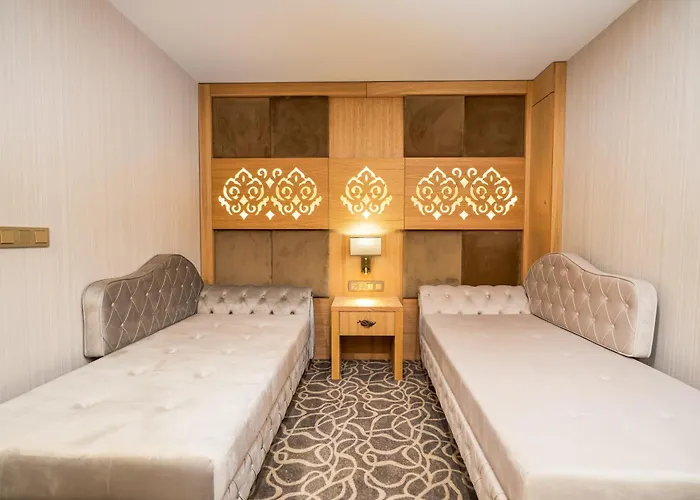 Hotel Al-si Ametis 5*